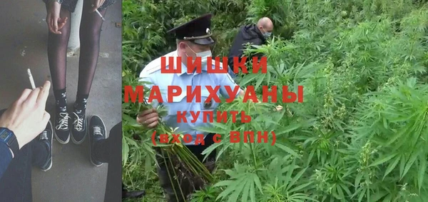гидропоника Новозыбков