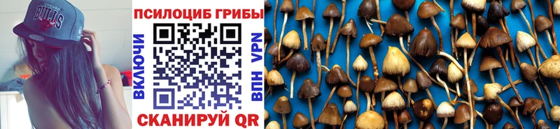 Галлюциногенные грибы Psilocybine cubensis  Каспийск 